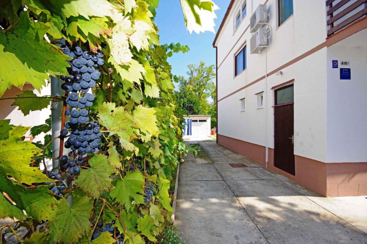 Apartments In Sabunike/Zadar Riviera 7812 Nin Eksteriør billede
